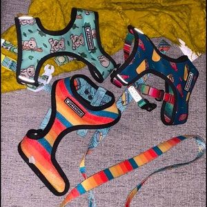 Frenchie taco harness 🌮